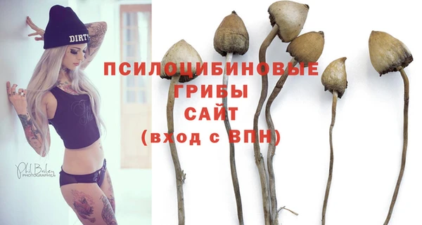 синтетический гашиш Балахна