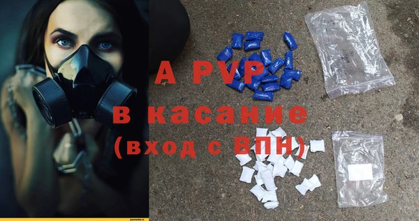 спайс Беломорск