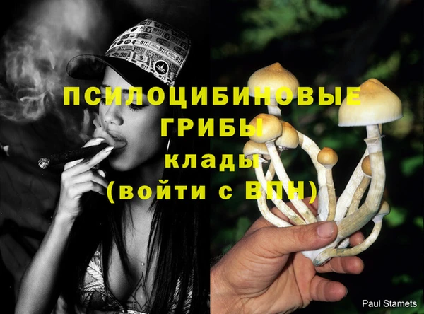 MDMA Белокуриха