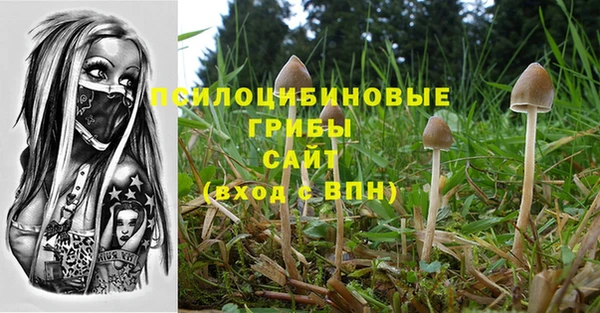 спайс Беломорск