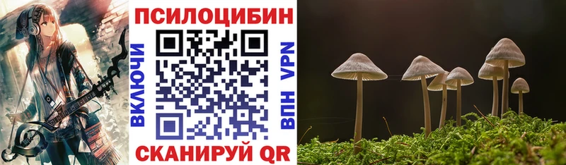 наркота  Борисоглебск  Псилоцибиновые грибы Psilocybe 
